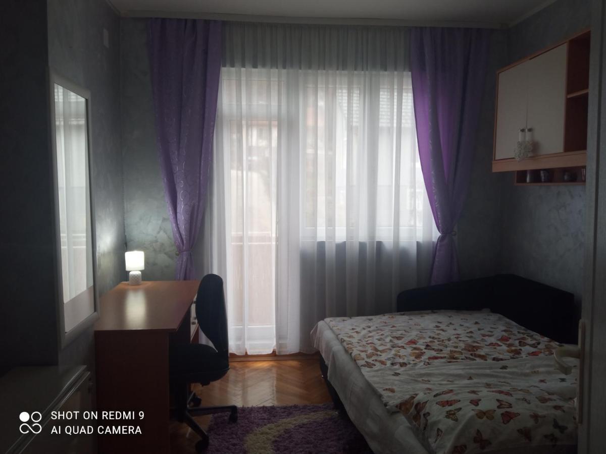 Apartman ,,Milica" Donji Milanovac Dış mekan fotoğraf