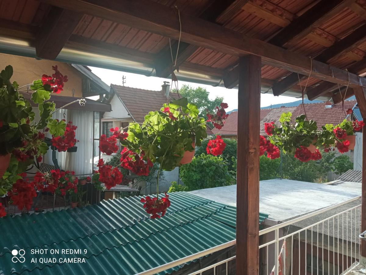 Apartman ,,Milica" Donji Milanovac Dış mekan fotoğraf