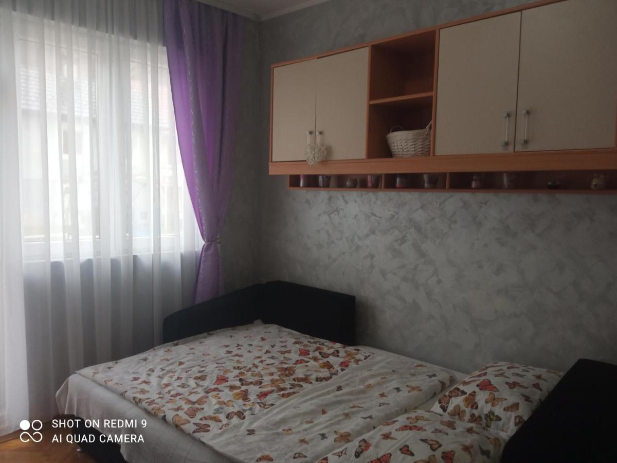 Apartman ,,Milica" Donji Milanovac Dış mekan fotoğraf