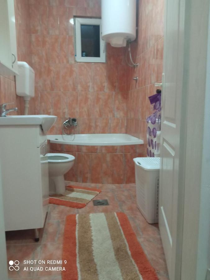 Apartman ,,Milica" Donji Milanovac Dış mekan fotoğraf