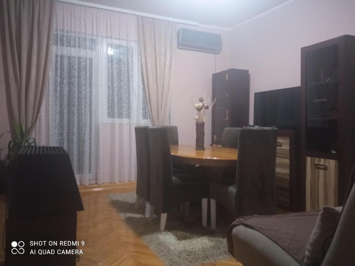 Apartman ,,Milica" Donji Milanovac Dış mekan fotoğraf