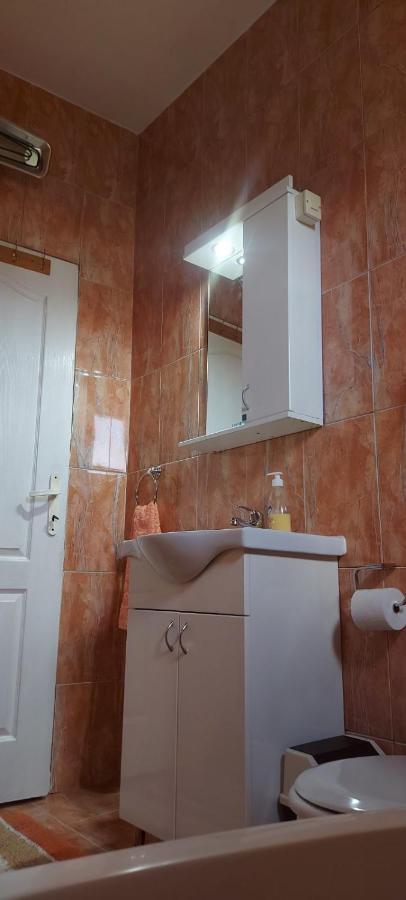 Apartman ,,Milica" Donji Milanovac Dış mekan fotoğraf